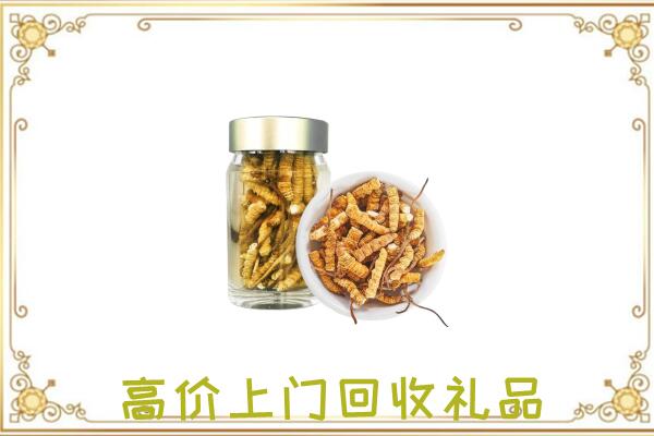 文安县周边回收虫草